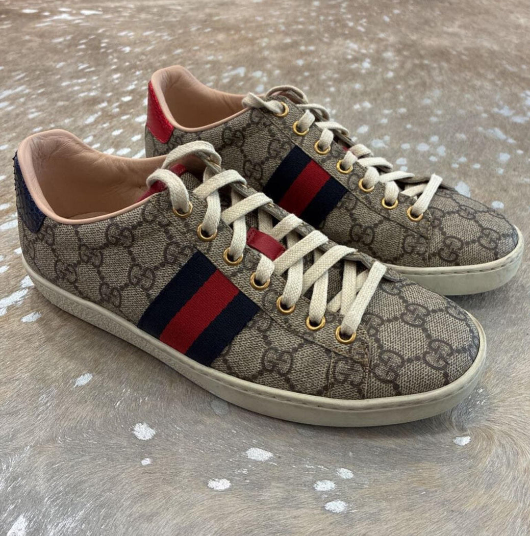 Gucci ACE GG Supreme Sneaker With Web 37