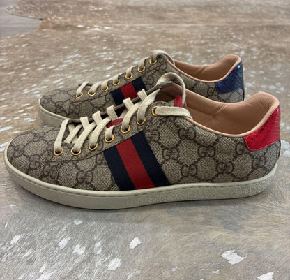 Gucci ACE GG Supreme Sneaker With Web 37