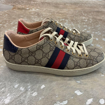 Gucci ACE GG Supreme Sneaker With Web 37