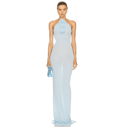 Color Me Blue Mesh Maxi Dress
