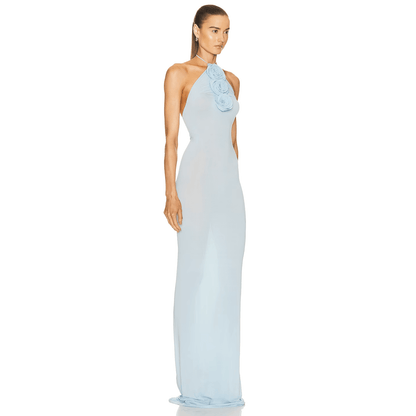 Color Me Blue Mesh Maxi Dress